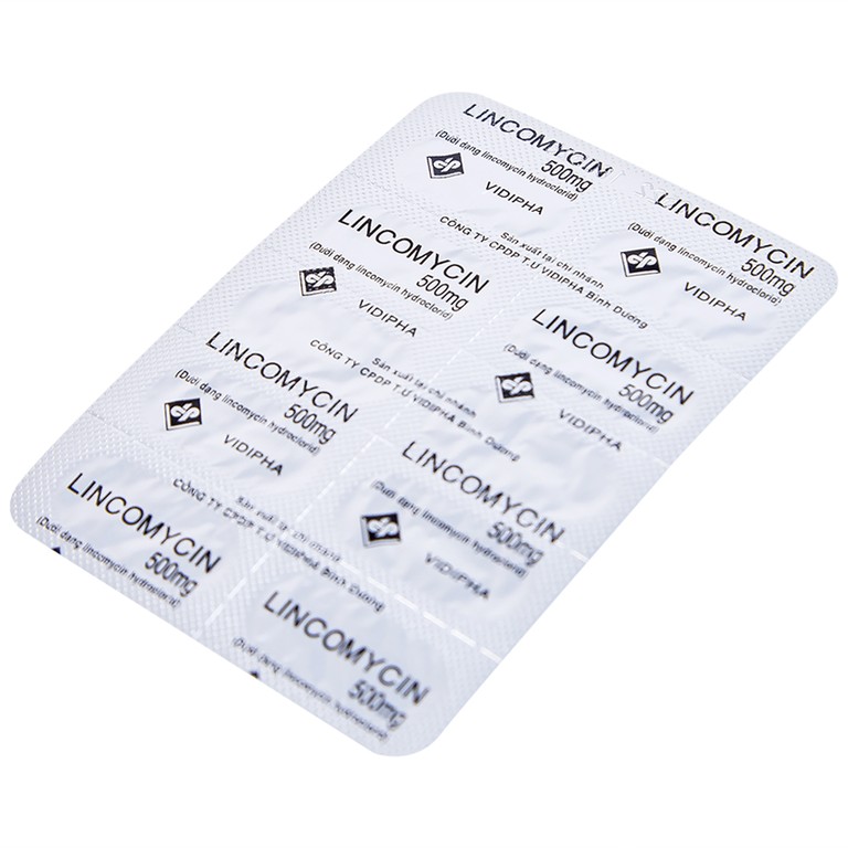 Thuốc Lincomycin 500mg Vidipha điều trị nhiễm khuẩn tai mũi họng, phế quản, phổi (10 vỉ x 10 viên)