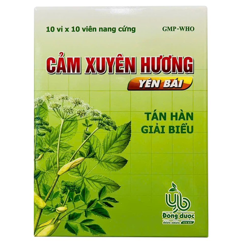 Thuốc Cảm Xuyên Hương Yên Bái điều trị cảm cúm, cảm lạnh (10 vỉ x 10 viên)