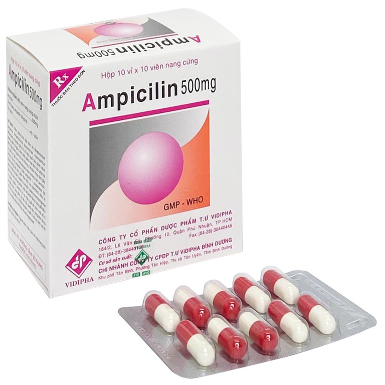 Thuốc Ampicilin 500mg Vidipha điều trị nhiễm khuẩn (10 vỉ x 10 viên)