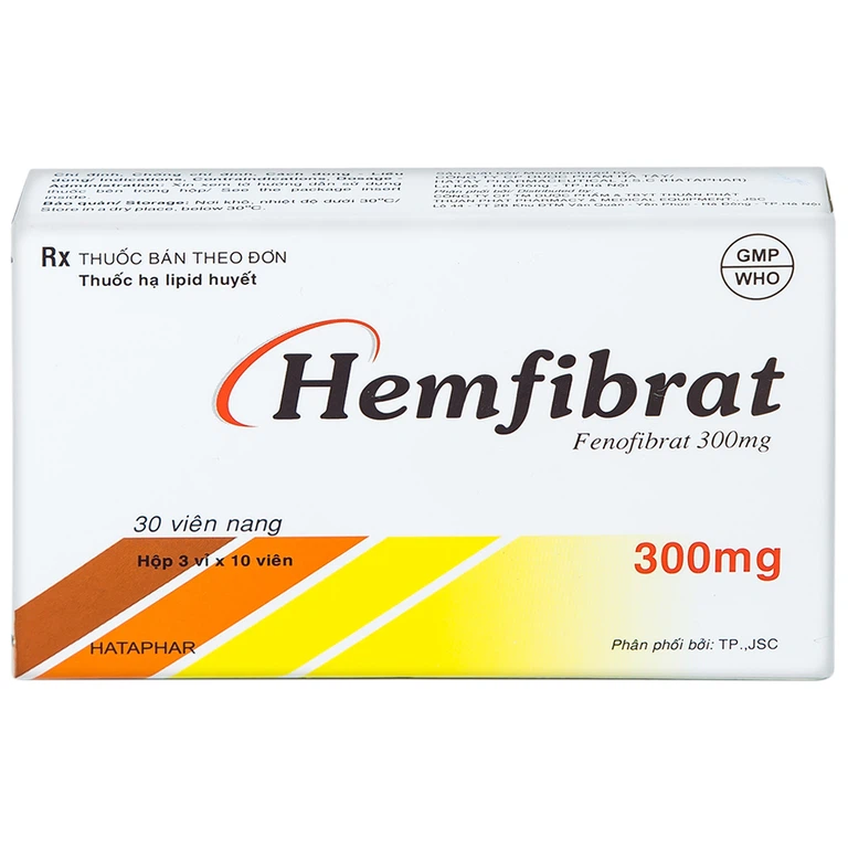 Thuốc Hemfibrat 300mg Hà Tây điều trị chứng tăng cholesterol máu (3 vỉ x 10 viên)