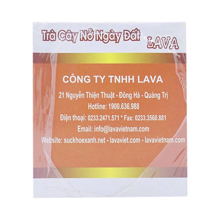 Trà túi lọc Cây Nở Ngày Đất Lava hỗ trợ điều trị gout (30 túi x 5g)