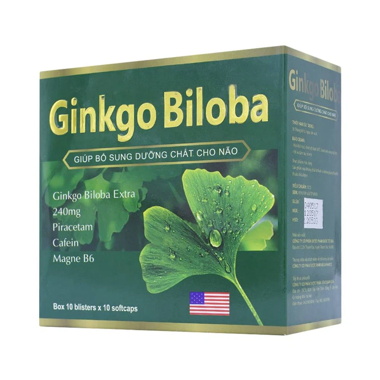 Viên uống Ginkgo Biloba bổ sung dưỡng chất cho não (10 vỉ x 10 viên)