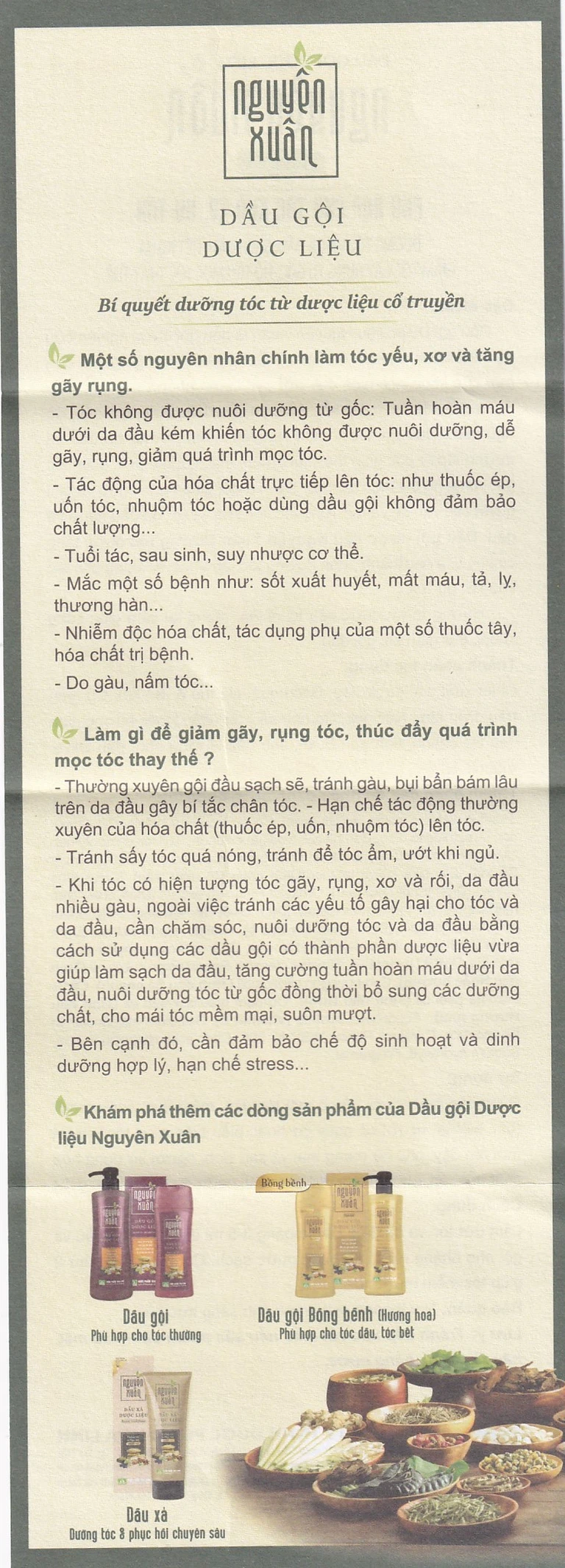 Dầu gội dược liệu Nguyên Xuân Xanh Lá dưỡng tóc và da đầu, sạch gàu, hết ngứa, giảm tóc gãy rụng (200ml)