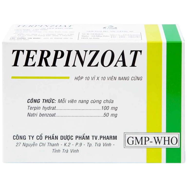 Thuốc Terpinzoat TV.PHARM làm loãng đờm và điều trị các triệu chứng ho (100 viên)