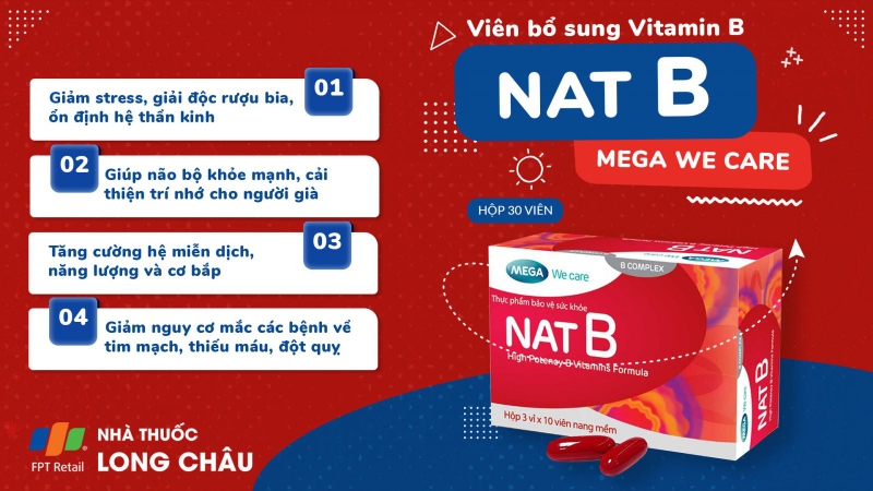 Nat B Mega We Care 2