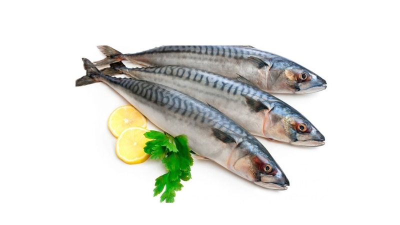 Nhiều người muốn biết 100g cá nục bao nhiêu protein