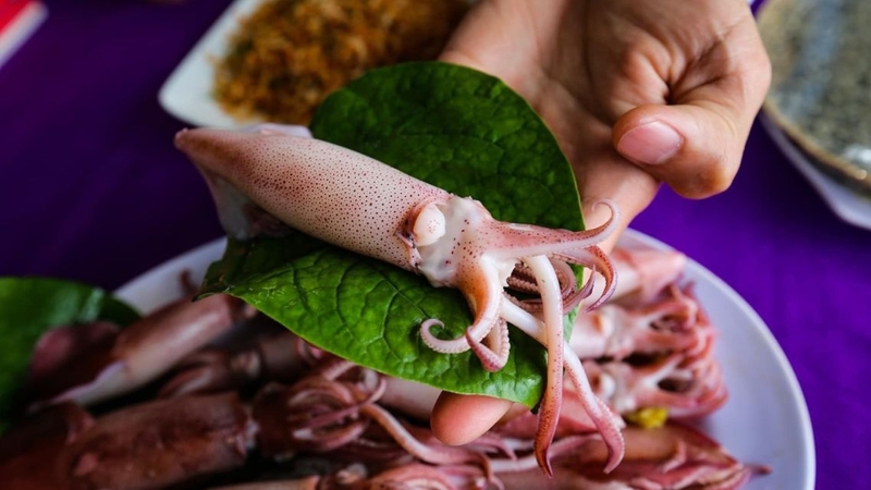 Sử dụng đúng cách với lượng hợp lý, mực mang đến nhiều lợi ích sức khỏe