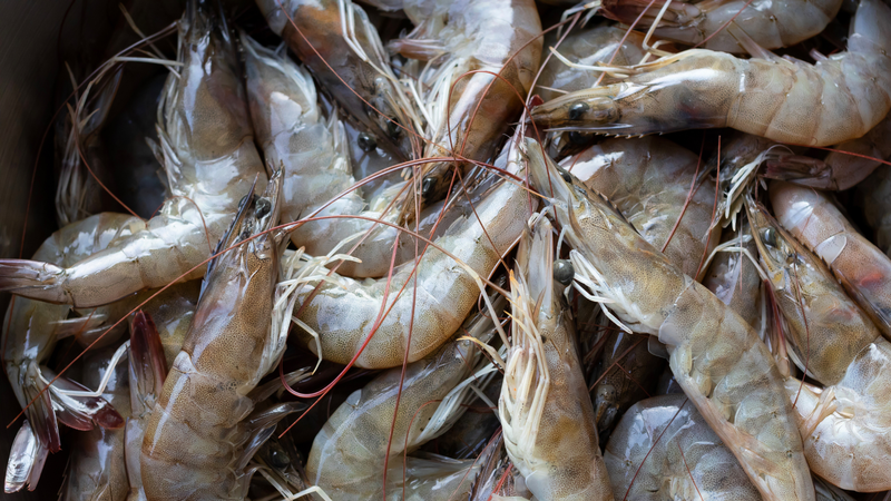 Để đảm bảo dinh dưỡng và sức khỏe, hãy chọn loại tôm tươi sạch, có nguồn gốc rõ ràng