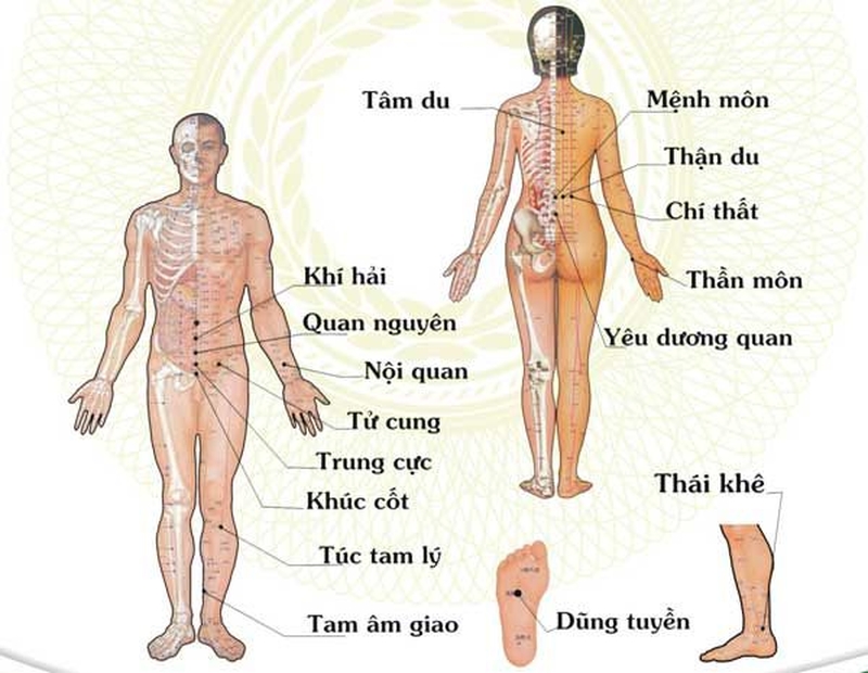 108 huyệt đạo trên cơ thể - Bí mật của tạo hóa! 1