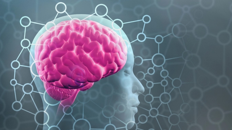 10 cách kích thích tiềm năng não bộ: Bạn đã biết chưa? 1