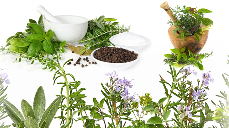 Điều trị rối loạn tiền đình bằng thuốc nam an toàn và hiệu quả