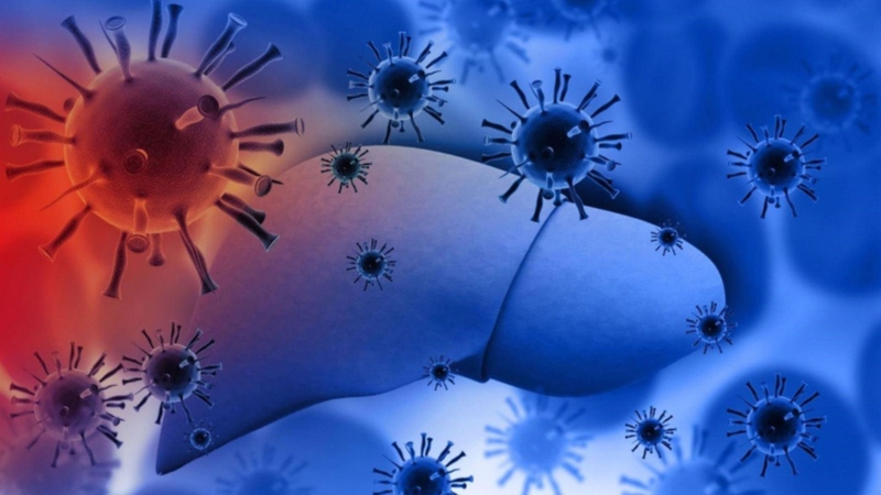 Viêm gan C lây qua đường nào? Những con đường lây nhiễm chính 3