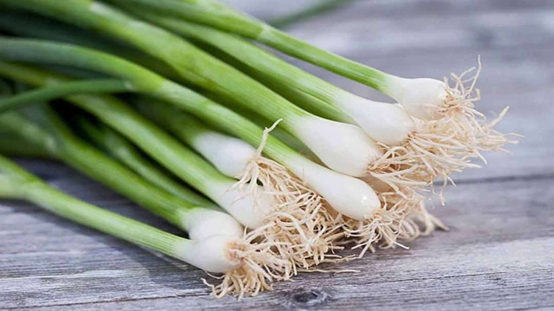 10 công dụng tuyệt vời của hành lá với sức khỏe mà ít ai biết 1