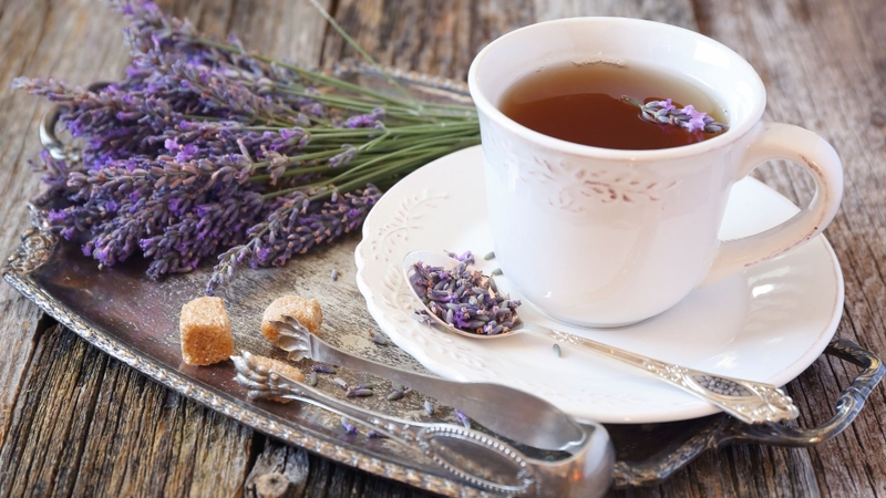 10 loại trà giúp tăng cường đốt cháy mỡ thừa hỗ trợ giảm cân 4