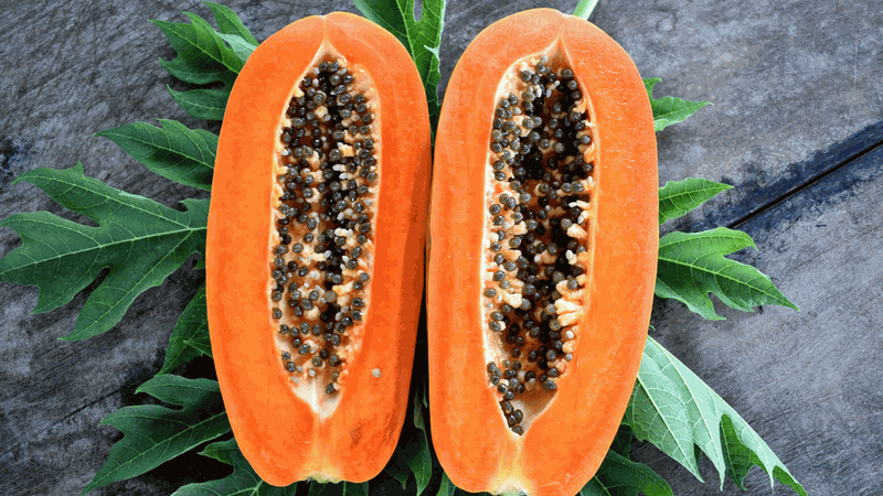 10 lợi ích của hạt đu đủ làm bạn bất ngờ 2