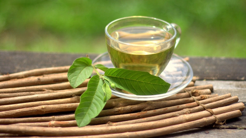 11 tác dụng của lá ổi không phải ai cũng biết 1