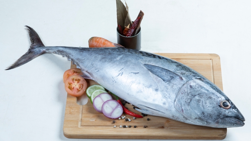 Cá ngừ là một đáp án cho câu hỏi vitamin b6 có trong thực phẩm nào