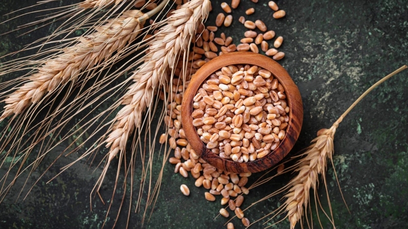 11 thực phẩm giúp no lâu hỗ trợ giảm cân nhanh chóng 1