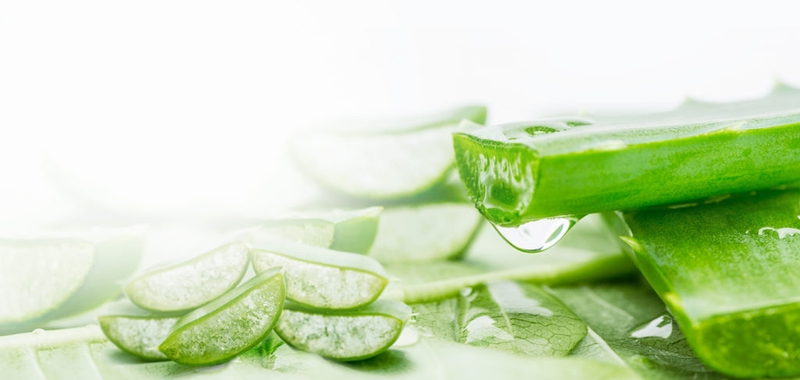 Trị nám bằng kem đánh răng kết hợp với nha đam