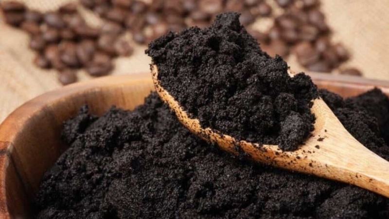 Bạn có thể rắc bã cà phê xung quanh nhà để giúp đuổi muỗi