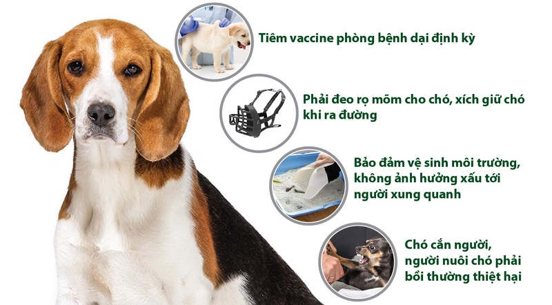 Nếu bạn là người nuôi chó mèo, hãy có trách nhiệm với cả cộng đồng và thú cưng của mình nhé