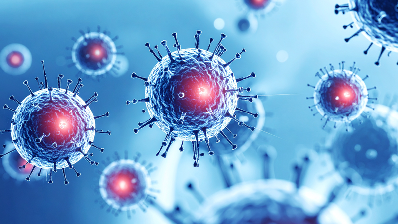 14 type HPV nguy cơ cao gồm những chủng nào?