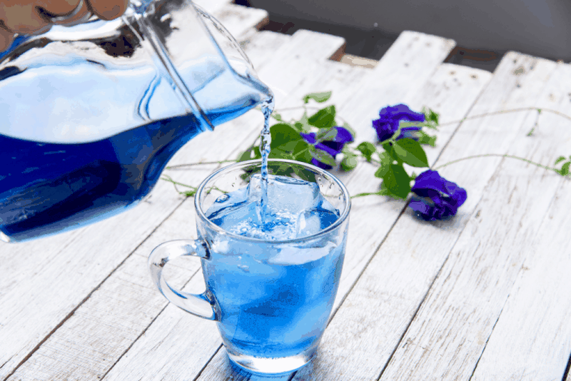 Uống trà hoa đậu biếc mỗi ngày có tốt không? Cách uống đúng là gì? 1