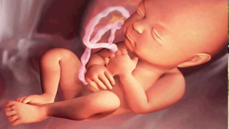 Tuần 25 của mẹ và thai nhi có sự những thay đổi gì? 3