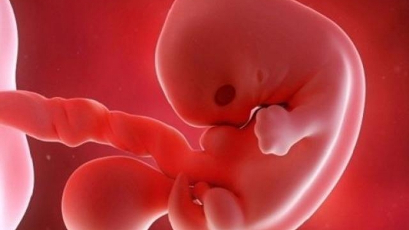 Những dấu hiệu thai chết lưu 3 tháng cuối 1