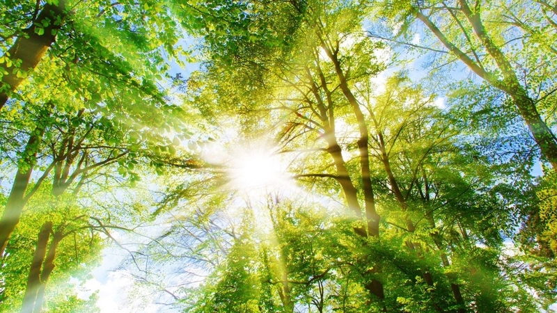 15 mẹo bảo vệ sức khỏe mùa nắng nóng ai cũng nên biết 1