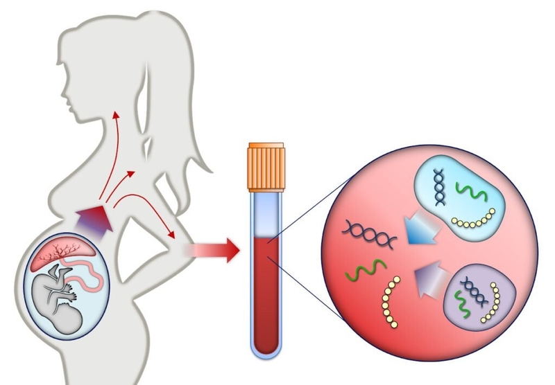 18 tuần có xét nghiệm Triple test được không? Tư vấn từ bác sĩ 1