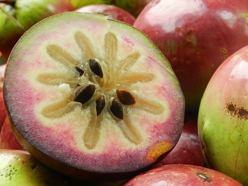 me-dang-mang-thai-co-nen-an-vu-sua-khong-2