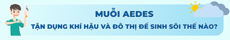 Sốt xuất huyết không còn theo mùa: Biến đổi khí hậu khiến dịch bùng phát quanh năm titleH2 2