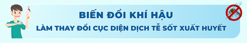 Sốt xuất huyết không còn theo mùa: Biến đổi khí hậu khiến dịch bùng phát quanh năm titleH2 1