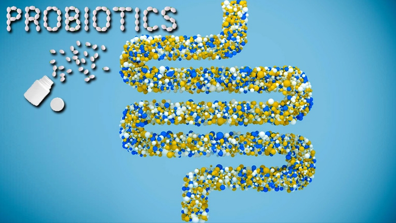 loại bỏ các hại khuẩn ra khỏi đường ruột