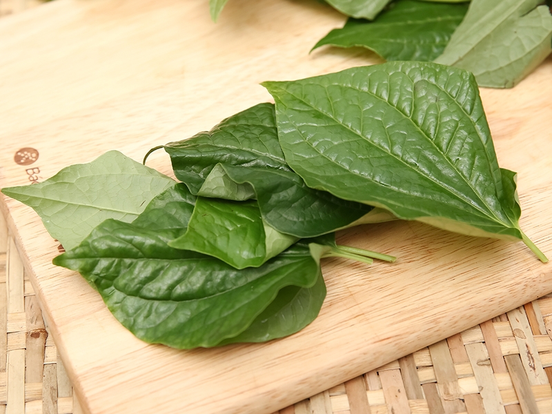 Có nên sử dụng lá lốt chữa viêm phụ khoa không? 1