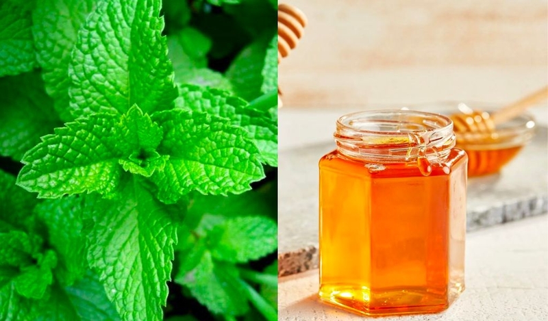 Cách làm siro húng chanh trị ho, tiêu đờm đơn giản, hiệu quả cho cả người lớn và trẻ em 1