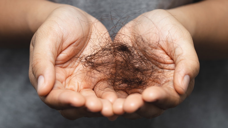 1-ngay-toc-moc-bao-nhieu-soi-nguyen-nhan-gay-rung-toc-va-mot-so-meo-giup-toc-moc-nhanh-hon 3.png