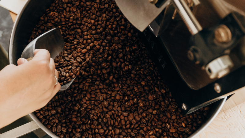 1-ngay-toc-moc-bao-nhieu-soi-nguyen-nhan-gay-rung-toc-va-mot-so-meo-giup-toc-moc-nhanh-hon 5.png