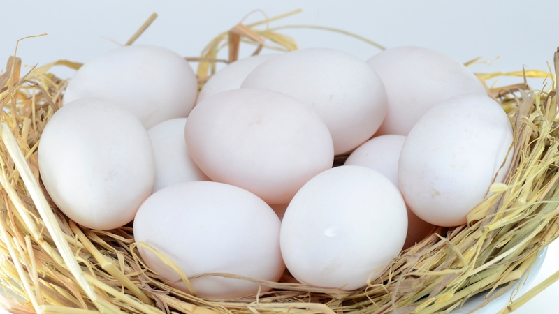 1 quả trứng vịt bao nhiêu protein? Lưu ý khi chế biến trứng vịt để bảo tồn protein và dinh dưỡng 5