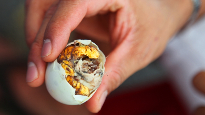 1 quả trứng vịt lộn bao nhiêu calo? Lợi ích khi ăn trứng vịt lộn đúng cách 1