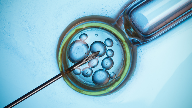 Quy trình thụ tinh trong ống nghiệm