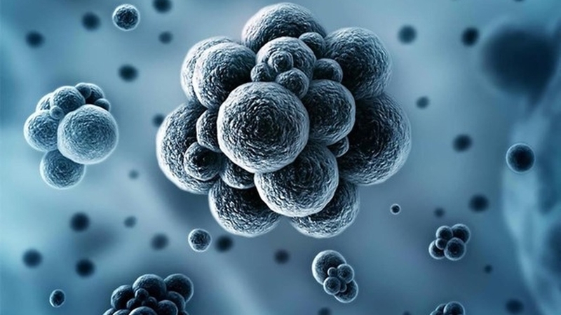 Xét nghiệm RPR là gì? Tại sao cần làm xét nghiệm RPR?+1