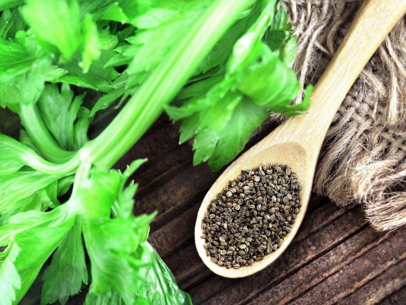 Viên uống giảm axit uric cho người bị gout Good Healthy Celery 12000 60V  có tốt không? 2