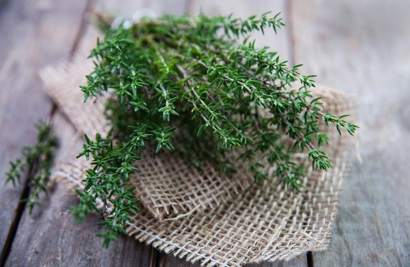 Giảm nhanh cơn đau răng với các nguyên liệu quen thuộc này! 3