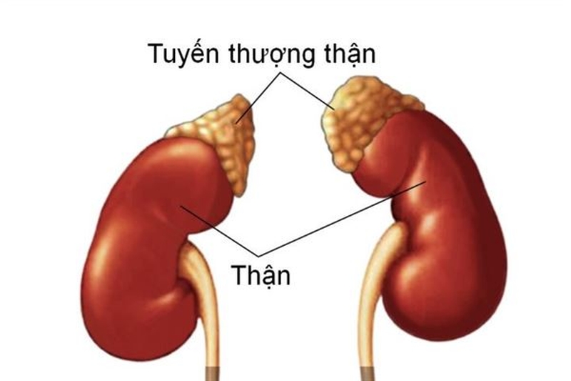 Ung thư phổi di căn tuyến thượng thận và phương pháp chữa bệnh 2