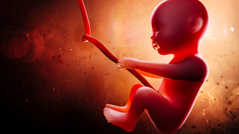 25 tuần là mấy tháng? Thai 25 tuần phát triển như thế nào? 2