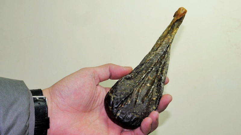 Tác dụng của mật gấu trong sức khỏe con người 1