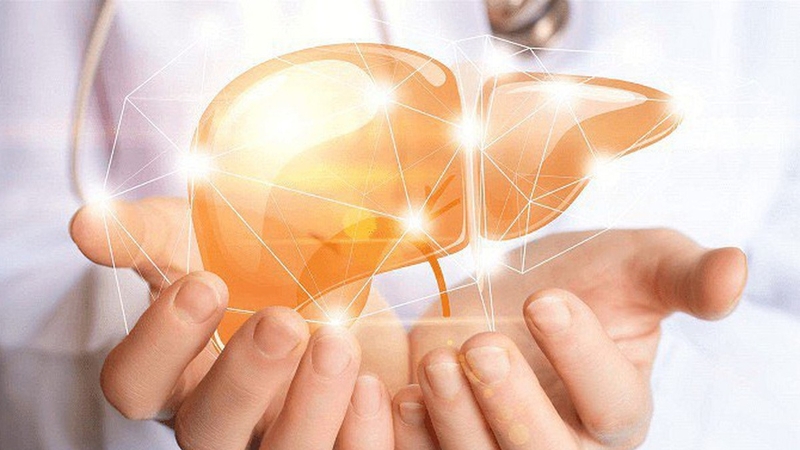 Chứng thực chuyện uống cà gai leo hại thận - 2