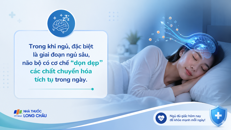 Cơ chế “dọn dẹp” các chất chuyển hóa tích tụ trong ngày được não bộ kích hoạt khi ngủ